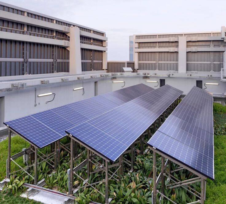 image of Affordable solar panels in Raipur